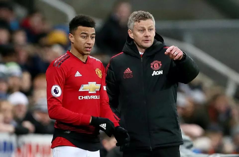 会增强球队 会增强球队